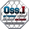 logo-OSSI logo-OSSI
